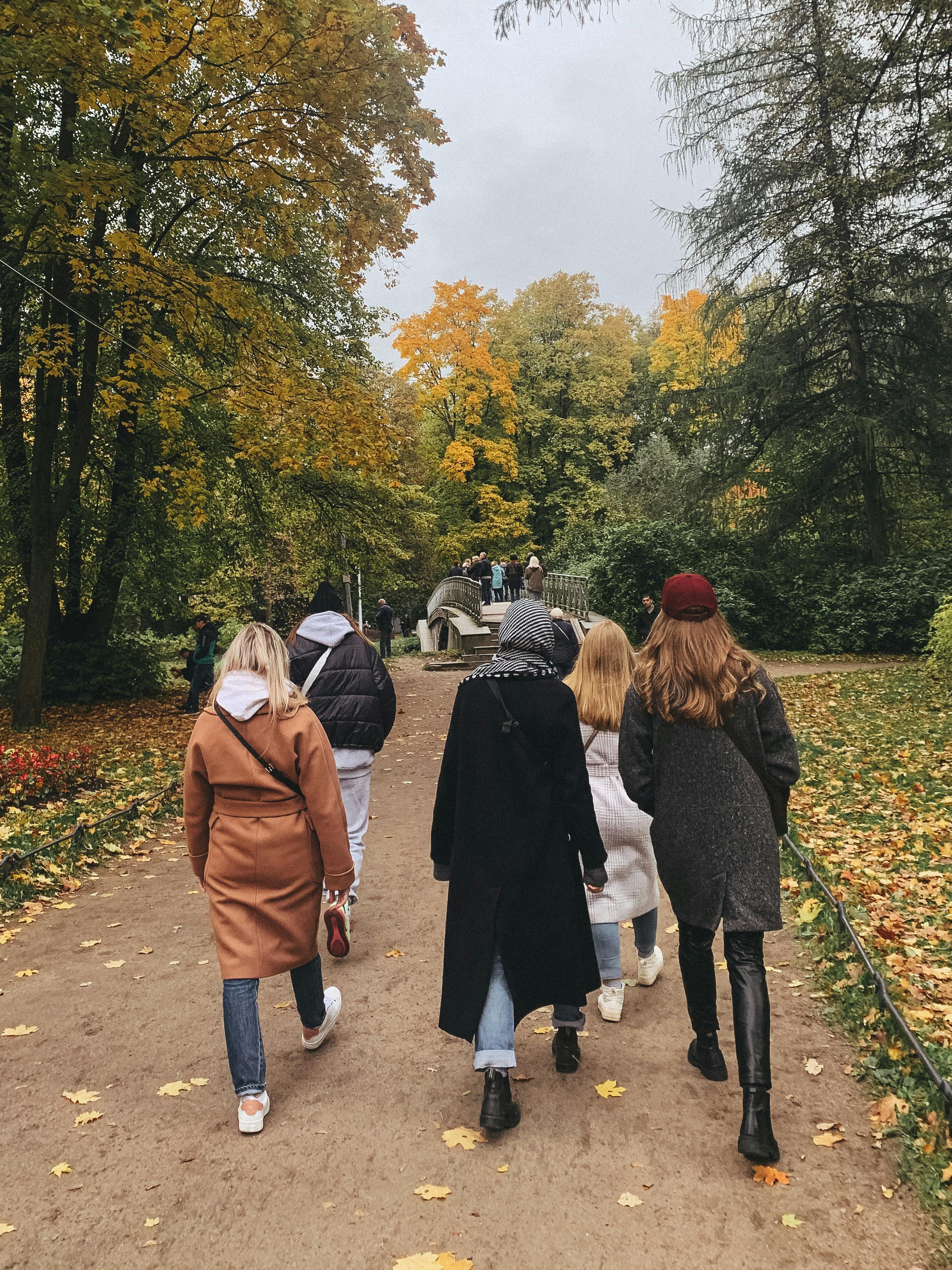 Wellness Walk