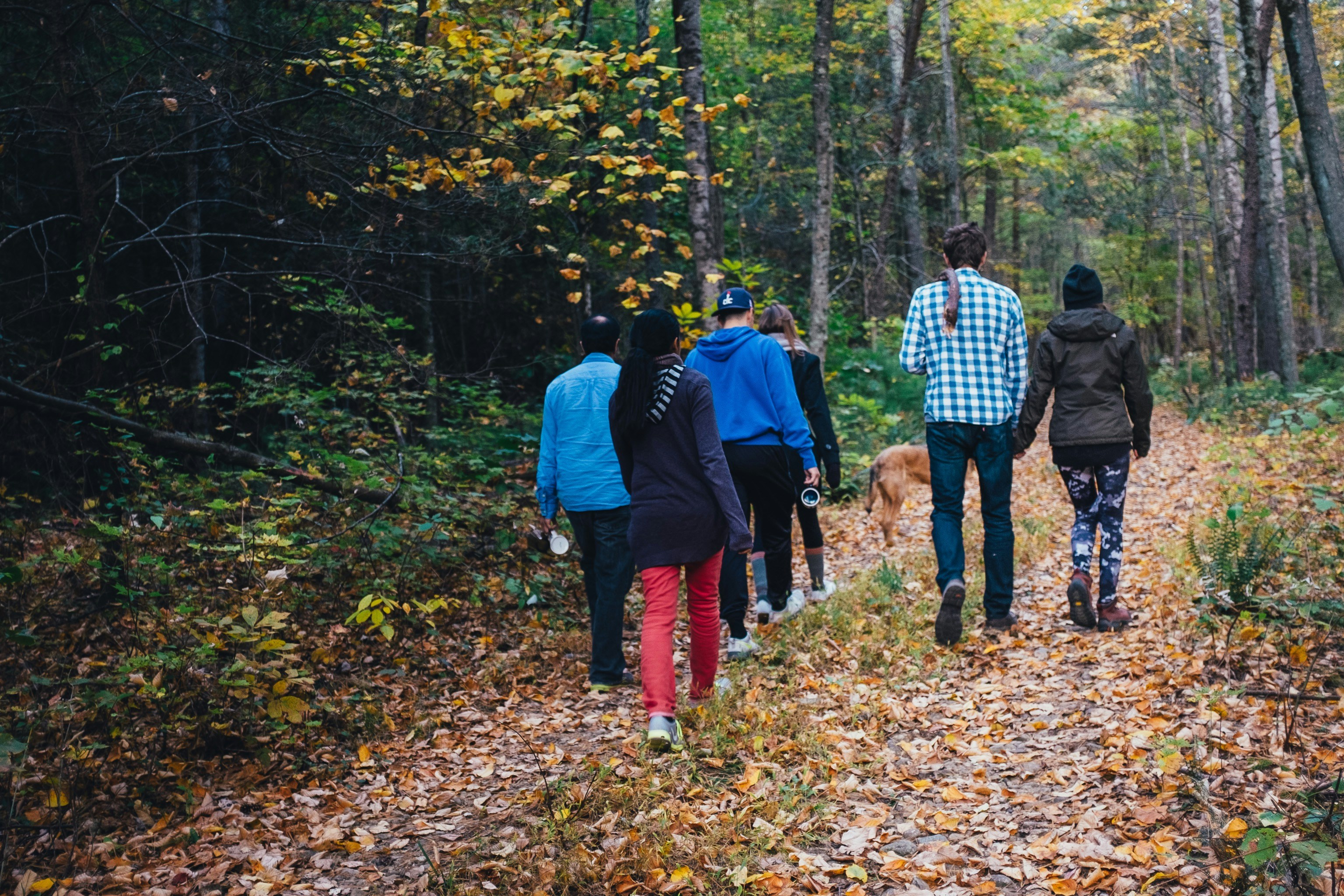 Wellness Walks